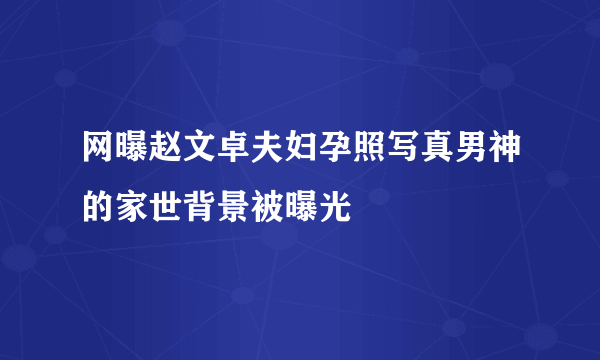 网曝赵文卓夫妇孕照写真男神的家世背景被曝光