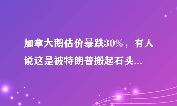 加拿大鹅估价暴跌30%，有人说这是被特朗普搬起石头砸死的，你怎么看？