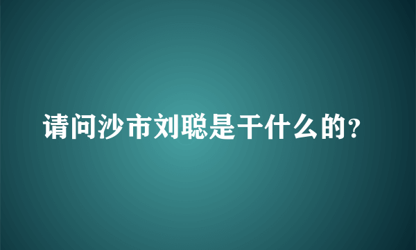 请问沙市刘聪是干什么的？