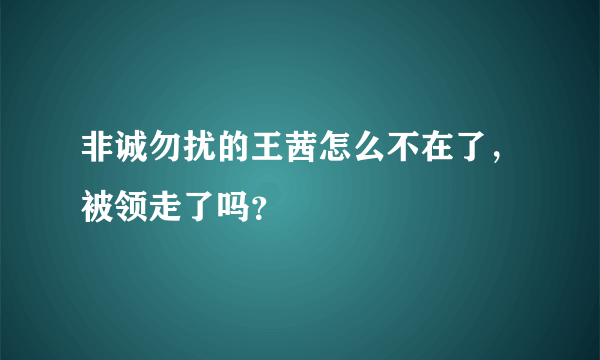 非诚勿扰的王茜怎么不在了，被领走了吗？