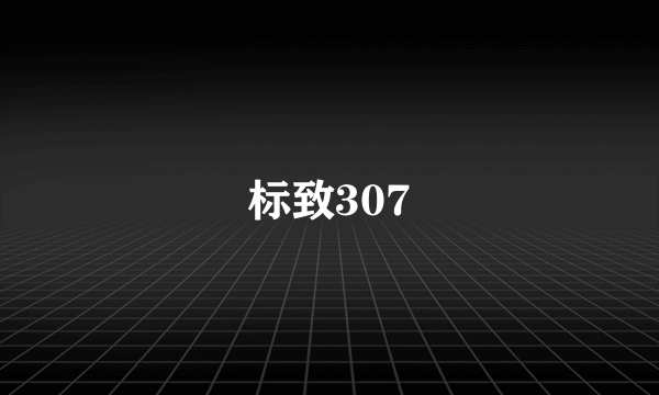 标致307