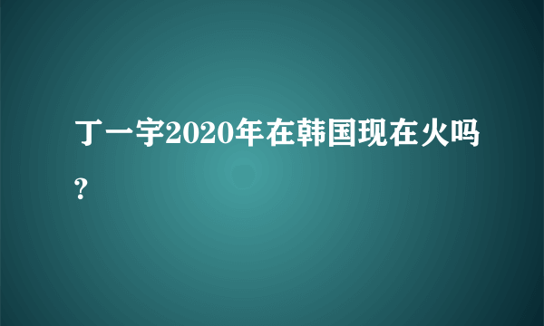 丁一宇2020年在韩国现在火吗？