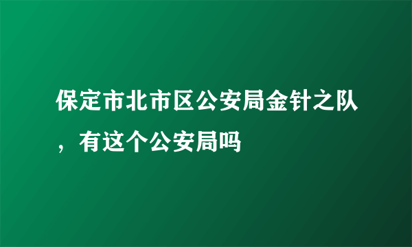 保定市北市区公安局金针之队，有这个公安局吗