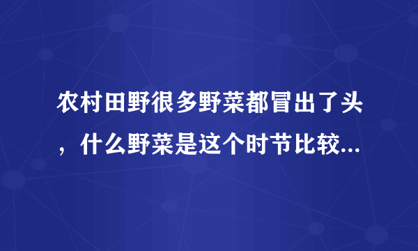 农村田野很多野菜都冒出了头，什么野菜是这个时节比较好采又好吃的？