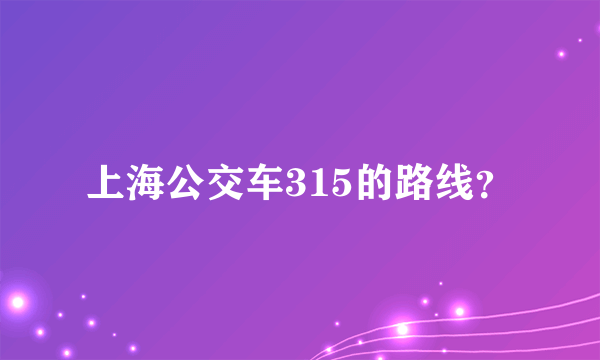 上海公交车315的路线？