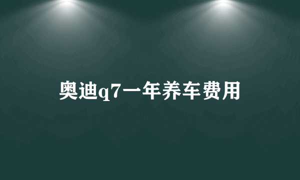 奥迪q7一年养车费用