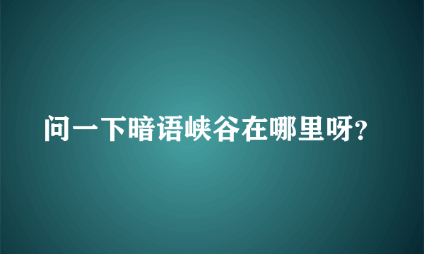 问一下暗语峡谷在哪里呀？