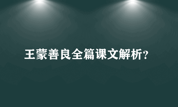 王蒙善良全篇课文解析？