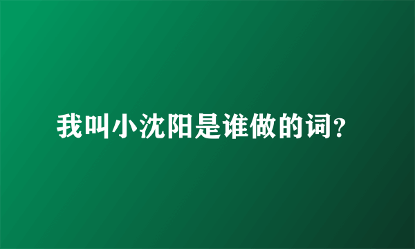 我叫小沈阳是谁做的词？