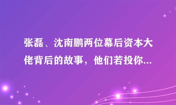 张磊、沈南鹏两位幕后资本大佬背后的故事，他们若投你，你选谁？