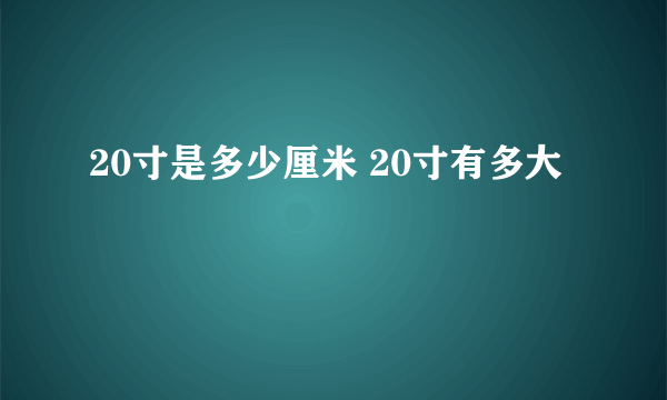 20寸是多少厘米 20寸有多大