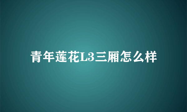 青年莲花L3三厢怎么样