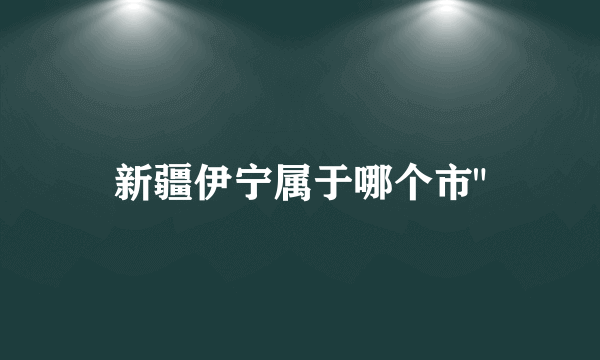 新疆伊宁属于哪个市