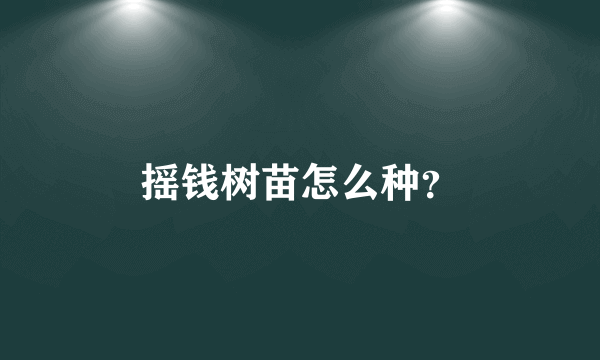 摇钱树苗怎么种？