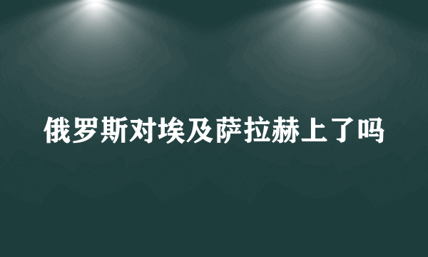 俄罗斯对埃及萨拉赫上了吗