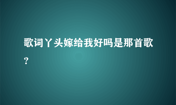 歌词丫头嫁给我好吗是那首歌？