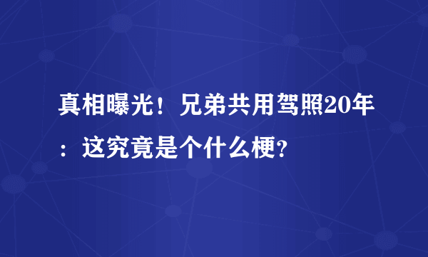 真相曝光！兄弟共用驾照20年：这究竟是个什么梗？