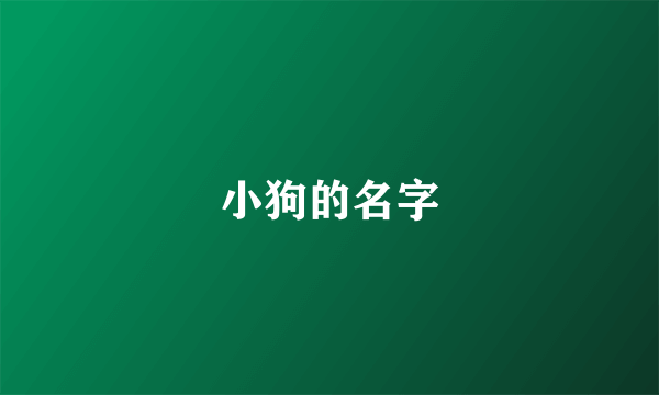 小狗的名字