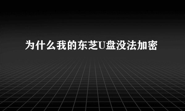 为什么我的东芝U盘没法加密