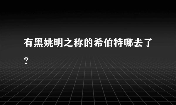 有黑姚明之称的希伯特哪去了？