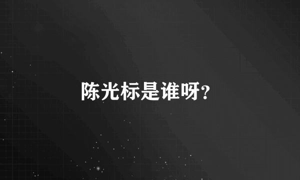 陈光标是谁呀？