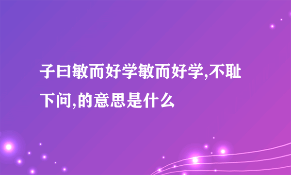 子曰敏而好学敏而好学,不耻下问,的意思是什么