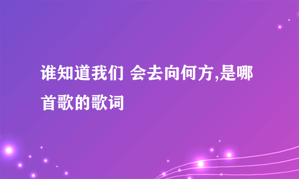 谁知道我们 会去向何方,是哪首歌的歌词