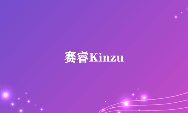 赛睿Kinzu