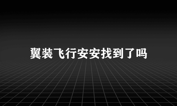 翼装飞行安安找到了吗