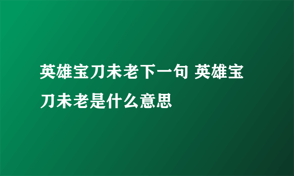 英雄宝刀未老下一句 英雄宝刀未老是什么意思