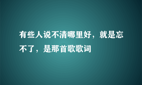 有些人说不清哪里好，就是忘不了，是那首歌歌词