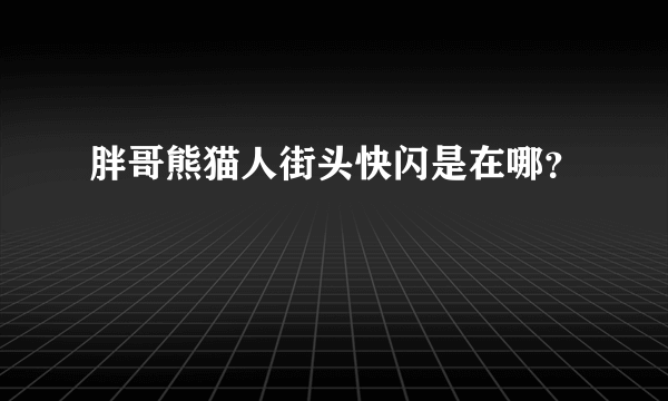 胖哥熊猫人街头快闪是在哪？