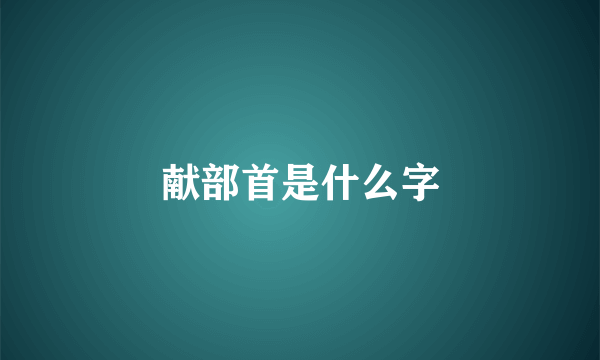 献部首是什么字