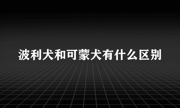 波利犬和可蒙犬有什么区别