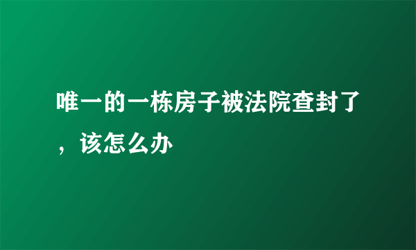 唯一的一栋房子被法院查封了，该怎么办