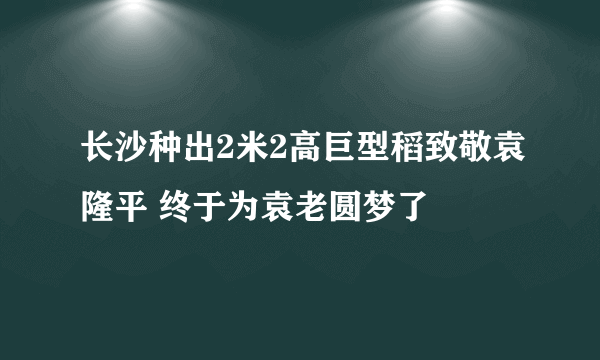 长沙种出2米2高巨型稻致敬袁隆平 终于为袁老圆梦了