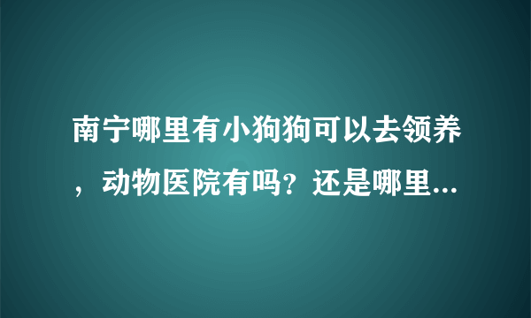 南宁哪里有小狗狗可以去领养，动物医院有吗？还是哪里？不要说那些什么网站，我看了也没什么用，都是卖狗的