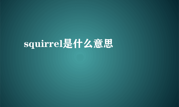 squirrel是什么意思