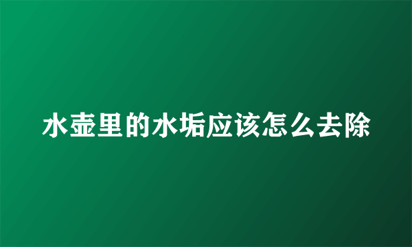 水壶里的水垢应该怎么去除