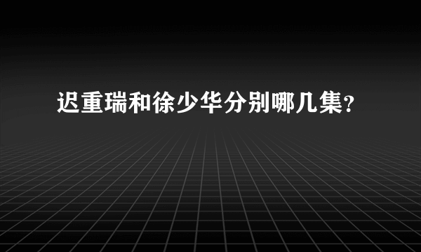 迟重瑞和徐少华分别哪几集？