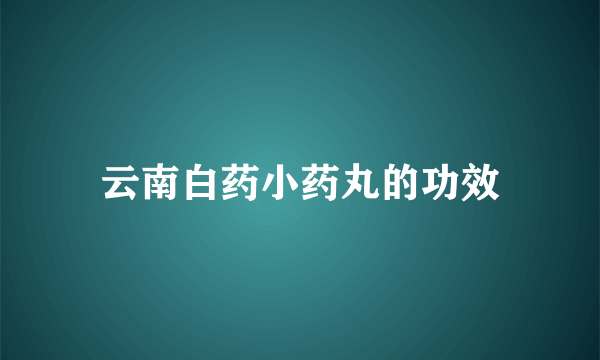 云南白药小药丸的功效