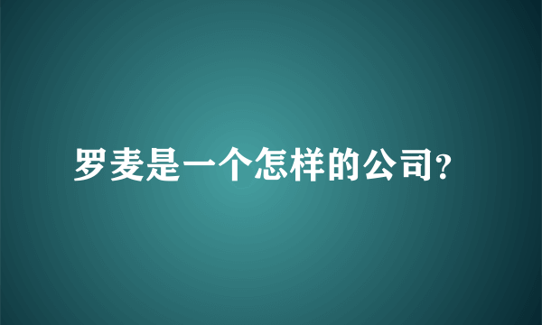 罗麦是一个怎样的公司？