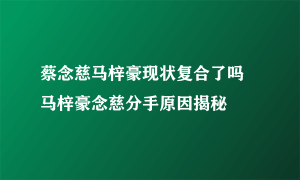 蔡念慈马梓豪现状复合了吗 马梓豪念慈分手原因揭秘