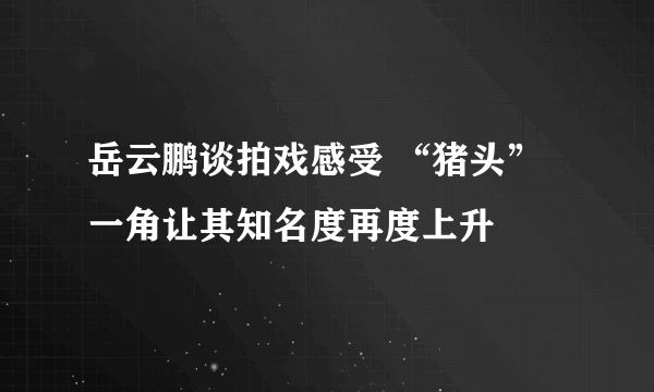 岳云鹏谈拍戏感受 “猪头”一角让其知名度再度上升