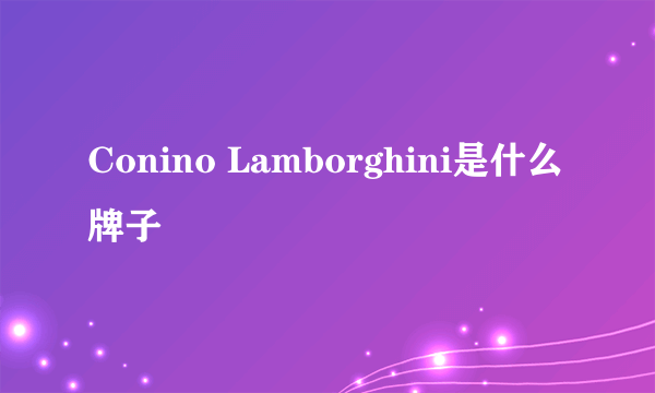 Conino Lamborghini是什么牌子