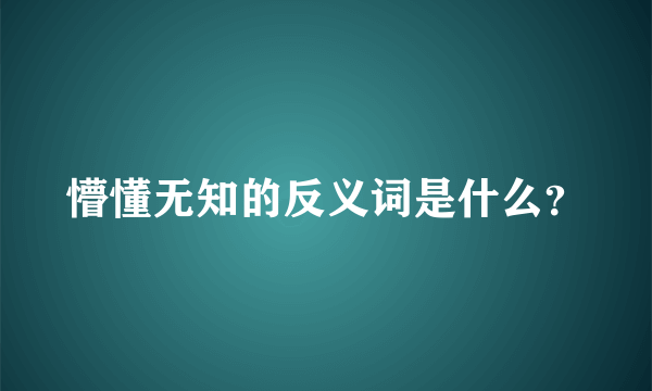 懵懂无知的反义词是什么？