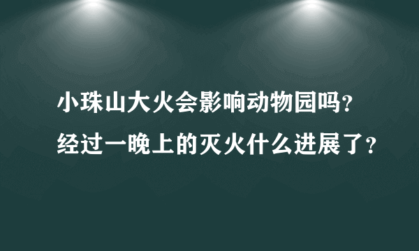 小珠山大火会影响动物园吗？经过一晚上的灭火什么进展了？