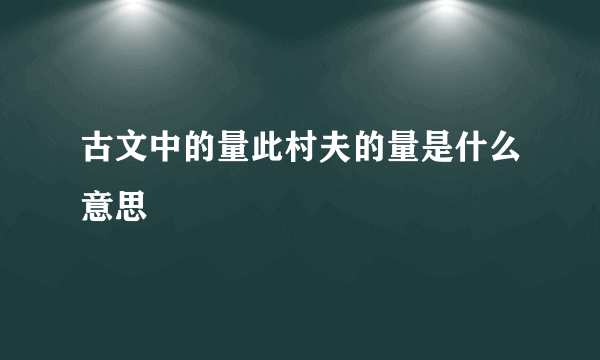 古文中的量此村夫的量是什么意思