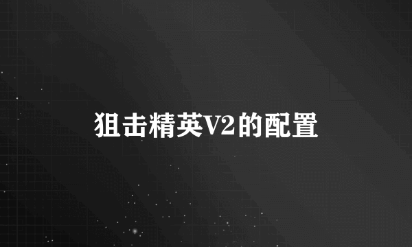 狙击精英V2的配置