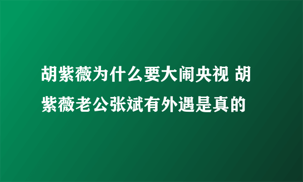 胡紫薇为什么要大闹央视 胡紫薇老公张斌有外遇是真的